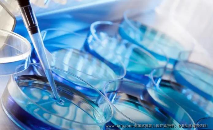 泰国试管婴儿医院排行榜：专业品质值得信赖！