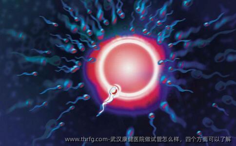 武汉康健医院做试管怎么样，四个方面可以了解