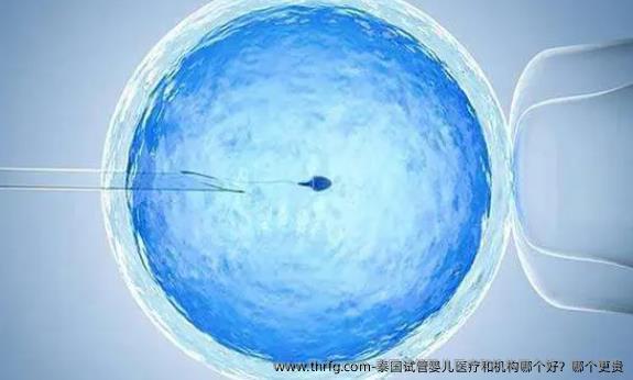 泰国试管婴儿医疗和机构哪个好？哪个更贵