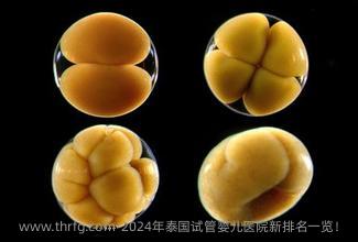 2024年泰国试管婴儿医院新排名一览！