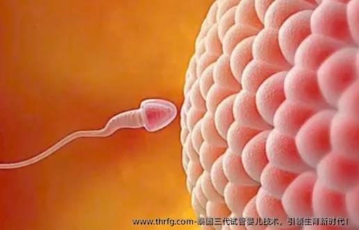 泰国三代试管婴儿技术，生育新时代！