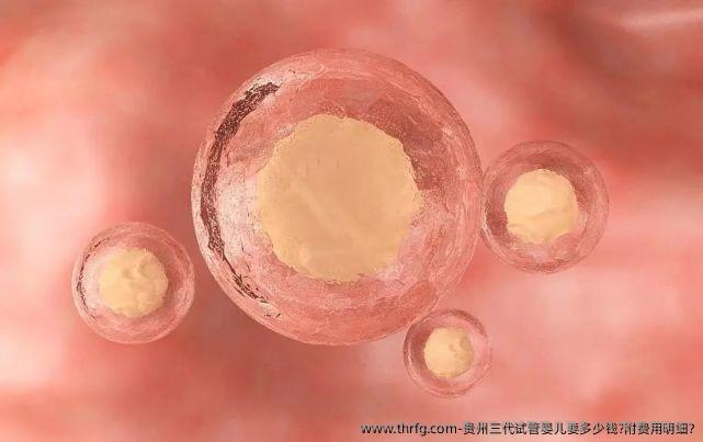 贵州三代试管婴儿要多少钱?附费用明细?
