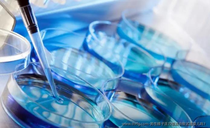 男性精子活力低适合做试管婴儿吗？