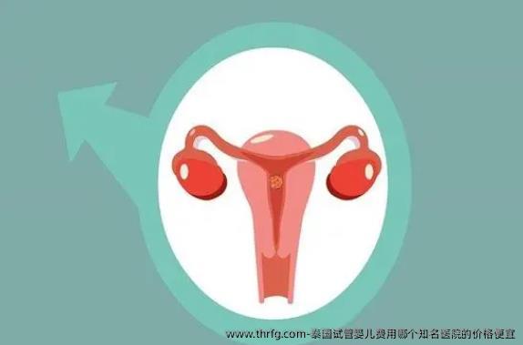 泰国试管婴儿费用哪个优秀医院的价格便宜