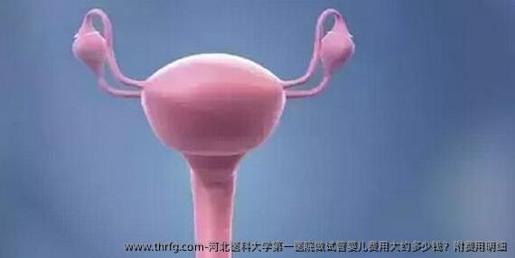 河北医科大学第一医院做试管婴儿费用大约多少钱？附费用明细