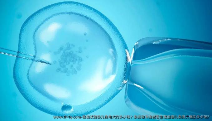 泰国试管婴儿费用大约多少钱？泰国做单身试管生混血婴儿费用大概是多少钱?