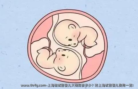 上海做试管婴儿大概需要多少？附上海试管婴儿费用一览！