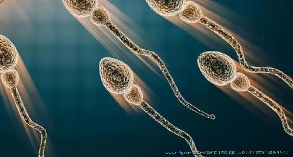第三代试管怎样提高着床率？大龄女性生育面对的风险是什么？