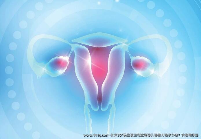 北京301医院第三代试管婴儿费用大概多少钱？付费用明细