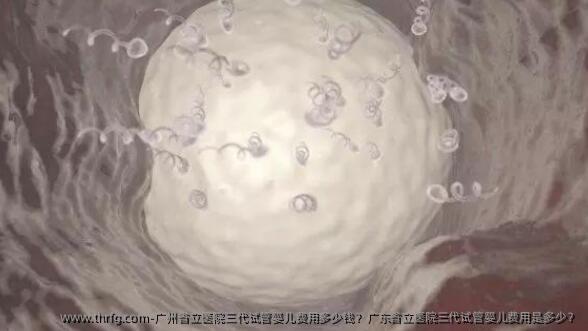 广州省立医院三代试管婴儿费用多少钱？广东省立医院三代试管婴儿费用是多少？