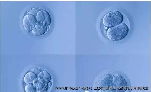 职称：2024年国内三代试管婴儿机构地址