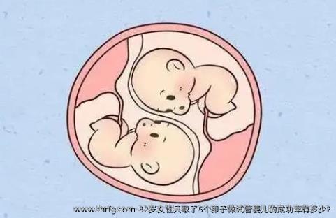 32岁女性只取了5个卵子做试管婴儿的成功率有多少?