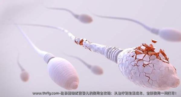 赴泰国做试管婴儿的费用全攻略：从治疗到生活成本，全部费用一网打尽！