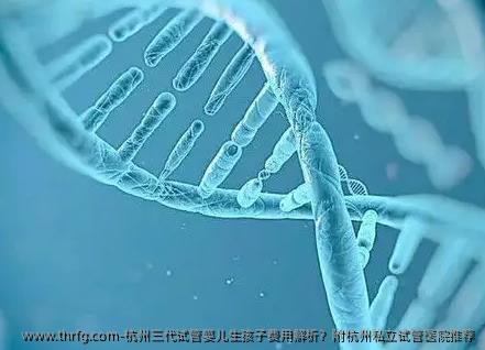 杭州三代试管婴儿生孩子费用解析？附杭州私立试管医院推荐