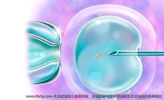 天津试管婴儿费用详解：详细剖析试管所需费用及天津当地的费用概况