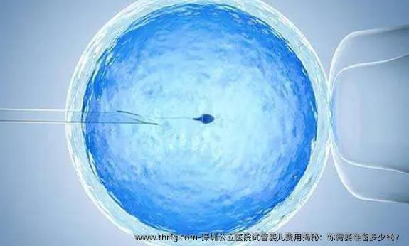 深圳公立医院试管婴儿费用揭秘：你需要准备多少钱？