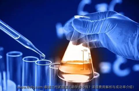泰国三代试管婴儿助孕多少钱？详细费用解析与成功率介绍！