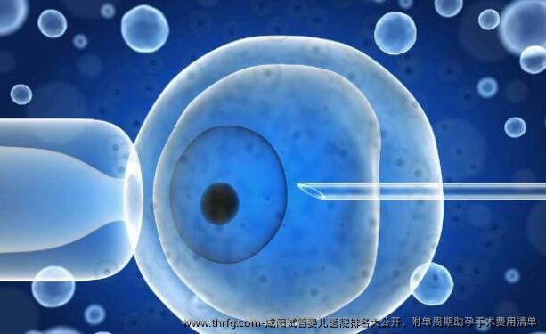 咸阳试管婴儿医院排名大公开，附单周期助孕手术费用清单