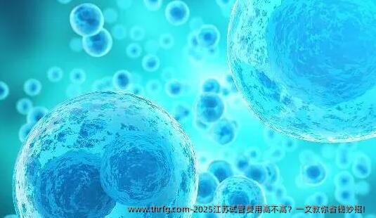 2025江苏试管费用高不高？一文教你省钱妙招！