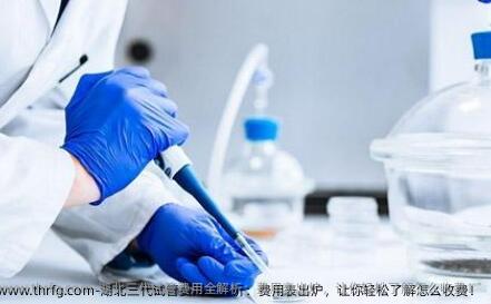 湖北三代试管费用全解析：费用表出炉，让你轻松了解怎么收费！
