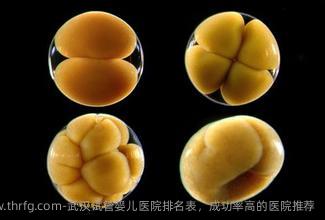 武汉试管婴儿医院排名表，成功率高的医院推荐