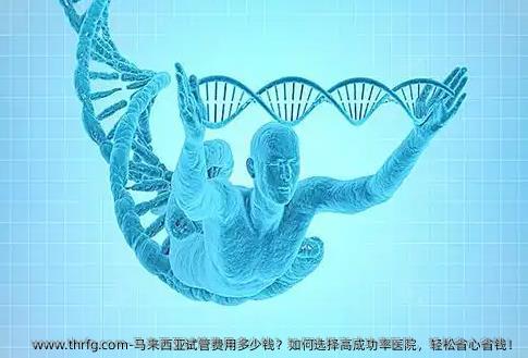 马来西亚试管费用多少钱？如何选择高成功率医院，轻松省心省钱！