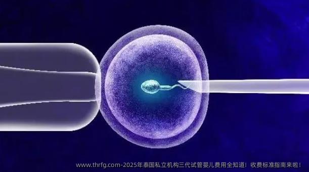 2025年泰国私立机构三代试管婴儿费用全知道！收费标准指南来啦！