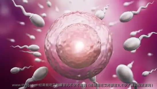 经期能吃艾附暖宫丸不孕不育吗（经期能吃艾附暖宫丸不孕不育吗有效果吗）