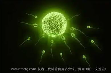长春三代试管费用多少钱，费用明细一文速览！