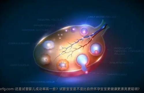 还是试管婴儿成功率高一些？试管宝宝是不是比自然怀孕宝宝更健康更漂亮更聪明？