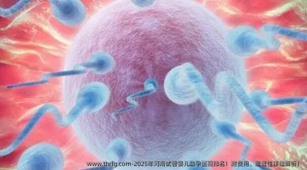 2025年河南试管婴儿助孕医院排名！附费用、靠谱性详细解析！