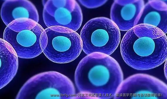 河北三代试管婴儿技术：解读医学范畴与各项费用明细！