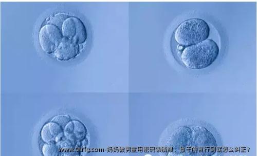 妈妈被男童用密码锁锁喉，孩子的言行到底怎么纠正？