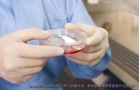 孕22周三尖瓣反流、肺动脉瓣增厚需要做什么检查？