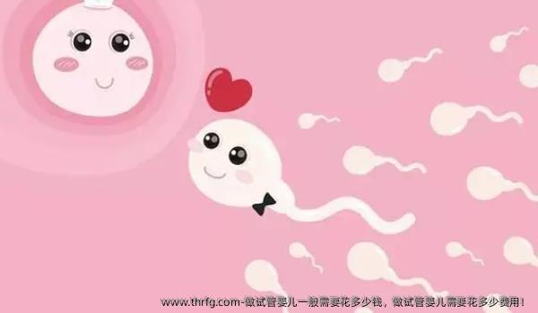 做试管婴儿一般需要花多少钱，做试管婴儿需要花多少费用！