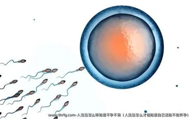 人流后怎么样知道不孕不育（人流后怎么才能知道自己还能不能怀孕）