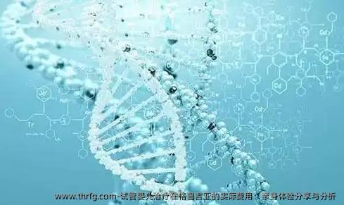 试管婴儿治疗在格鲁吉亚的实际费用：亲身体验分享与分析 