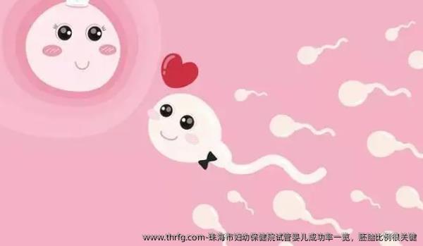 珠海市妇幼保健院试管婴儿成功率一览，胚胎比例很关键