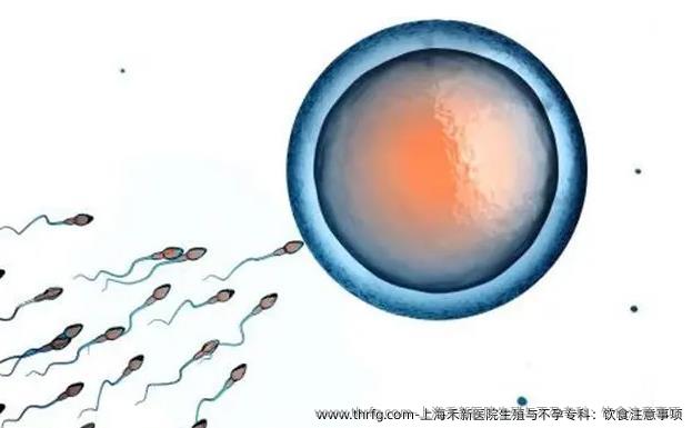 上海禾新医院生殖与不孕专科：饮食注意事项