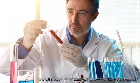 怀孕12周做无创dna一千多与二千多有什么区别?