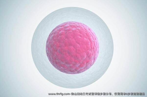 佛山妇幼三代试管详细步骤分享，仅需简单6步就能到最后