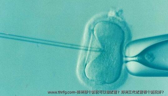 郑州那个医院可以做试管？郑州三代试管哪个医院好？