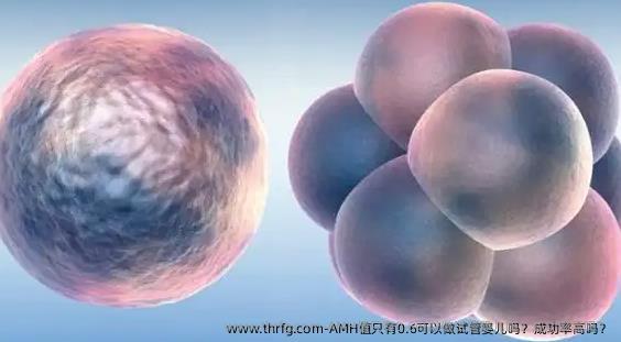 AMH值只有0.6可以做试管婴儿吗？成功率高吗？