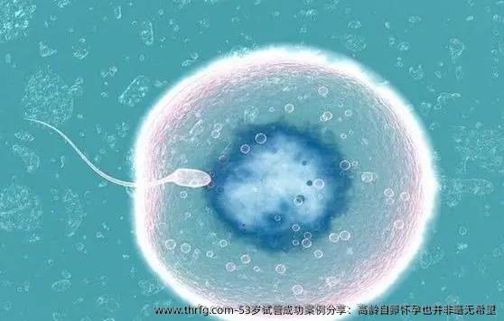 53岁试管成功案例分享：高龄自卵怀孕也并非毫无希望