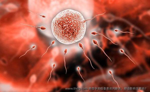 男性孕前检查患前列腺炎，那会影响生育吗？