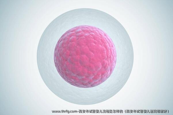 西安市试管婴儿流程是怎样的（西安市试管婴儿医院哪家好）