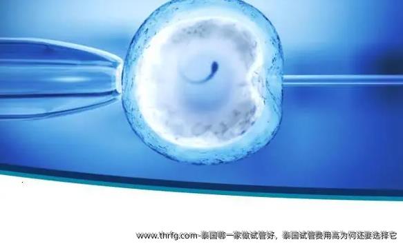 泰国哪一家做试管好，泰国试管费用高为何还要选择它