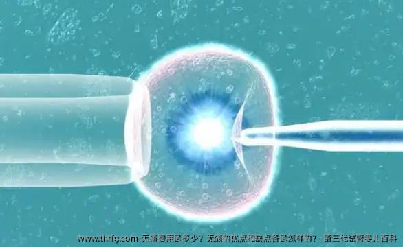 无痛费用是多少？无痛的优点和缺点各是怎样的？-第三代试管婴儿百科