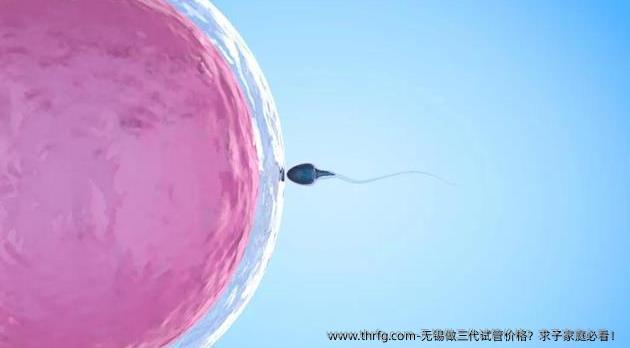无锡做三代试管价格？求子家庭必看！