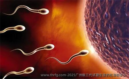 2025广州做三代试管生孩的机率有多少